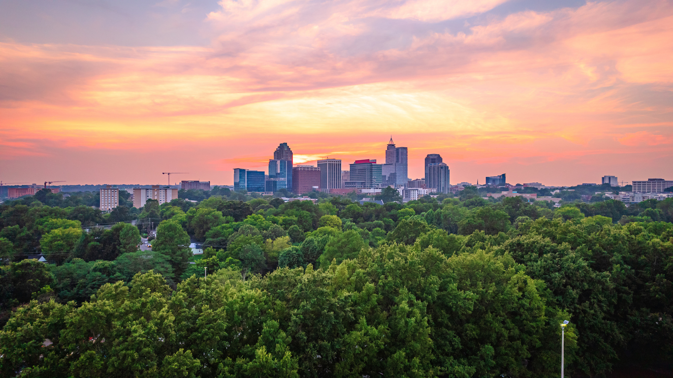 Panoramic Image of Knightdale, NC